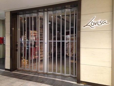 Shop Security Doors