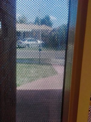 Clear Breeze Privacy Mesh Close Up Standing Inside The House Looking Out.